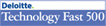 Deloitte Fast 500